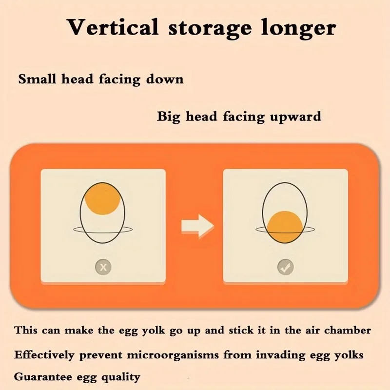 1 Kitchen Egg Storage Box 2 La - Kitchen Baking Tins ulasan dan harga